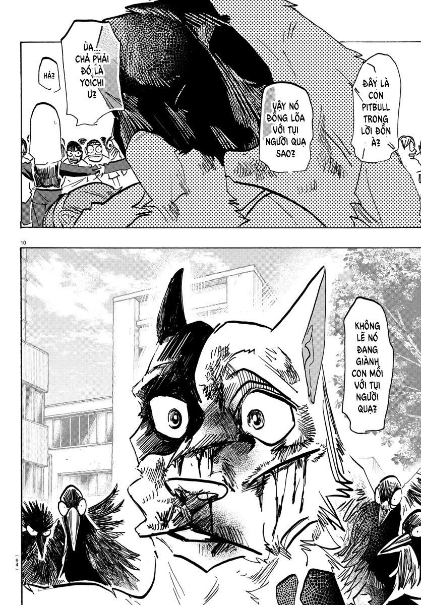 Lý Trí Của Taika - Chapter 16 - Page 10