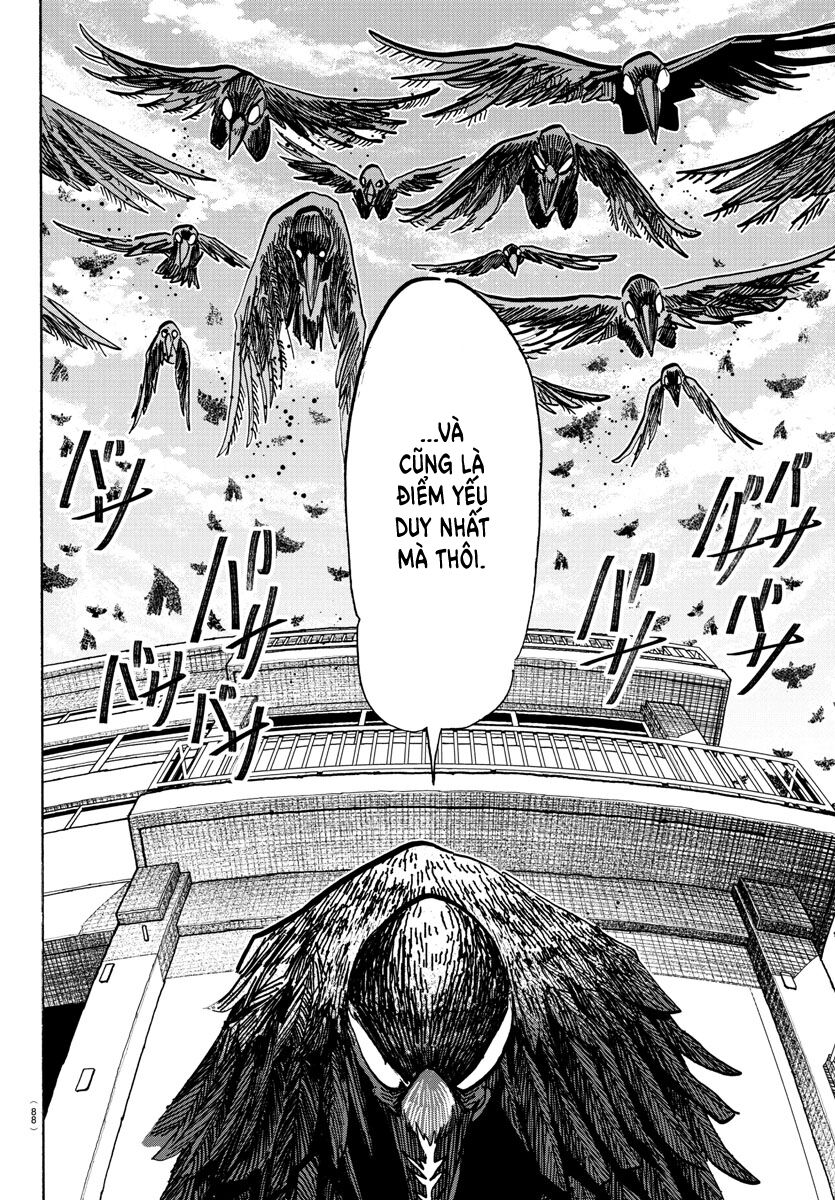 Lý Trí Của Taika - Chapter 16 - Page 4