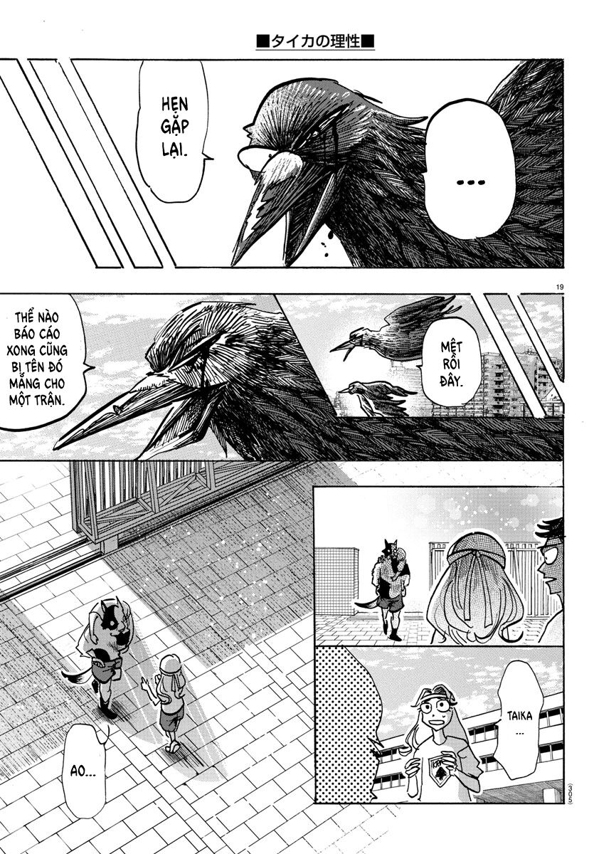 Lý Trí Của Taika - Chapter 17 - Page 17