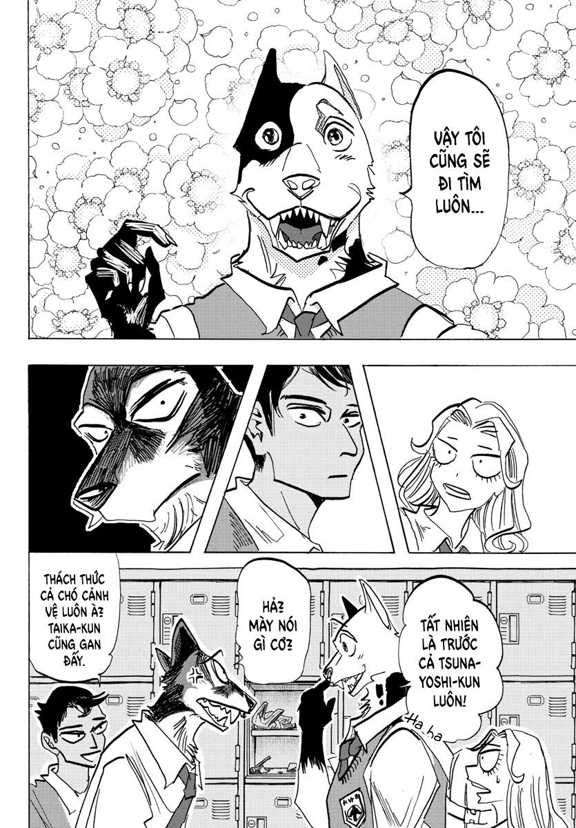 Lý Trí Của Taika - Chapter 4 - Page 13