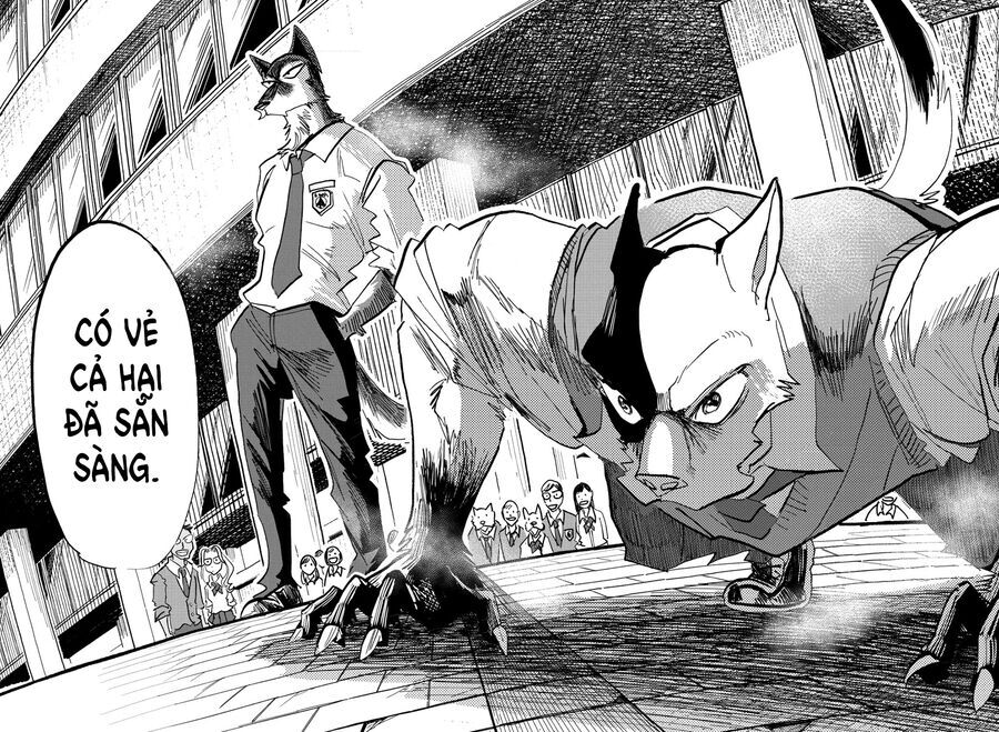 Lý Trí Của Taika - Chapter 4 - Page 15