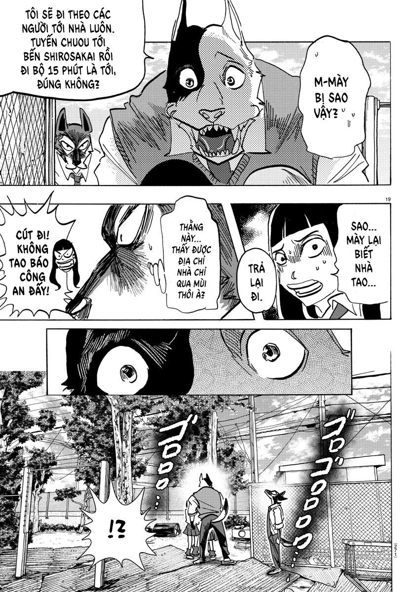 Lý Trí Của Taika - Chapter 5 - Page 17