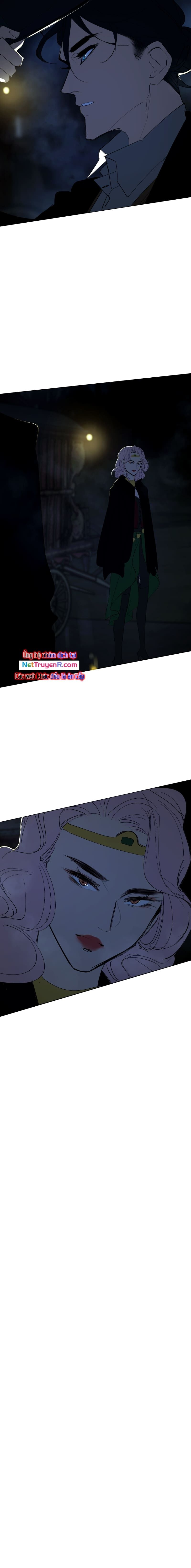 Hoa Lục Bình Tím - Chapter 74 - Page 3