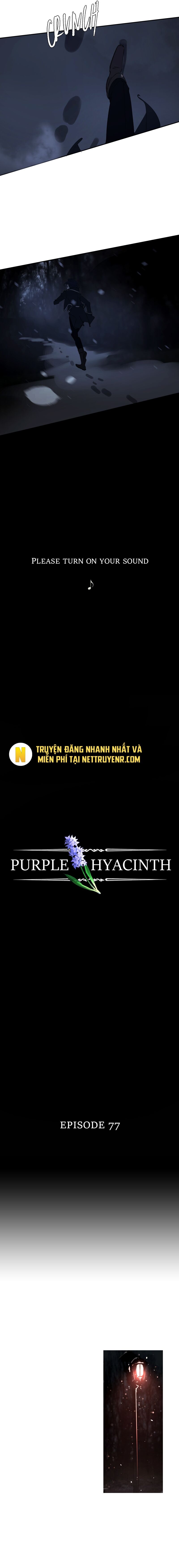 Hoa Lục Bình Tím - Chapter 77.1 - Page 3