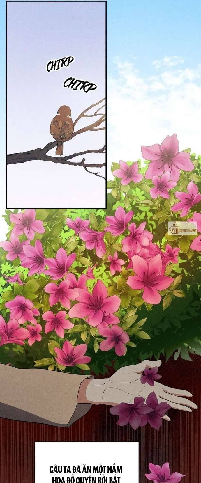 Hong Rang Thân Mếm - Chapter 18 - Page 27