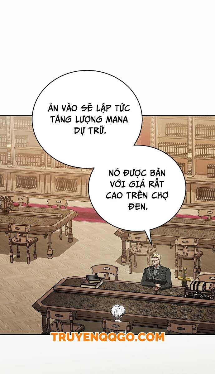 Pháp Sư Thiên Tài Thấu Triệt Khái Niệm - Chapter 8 - Page 29