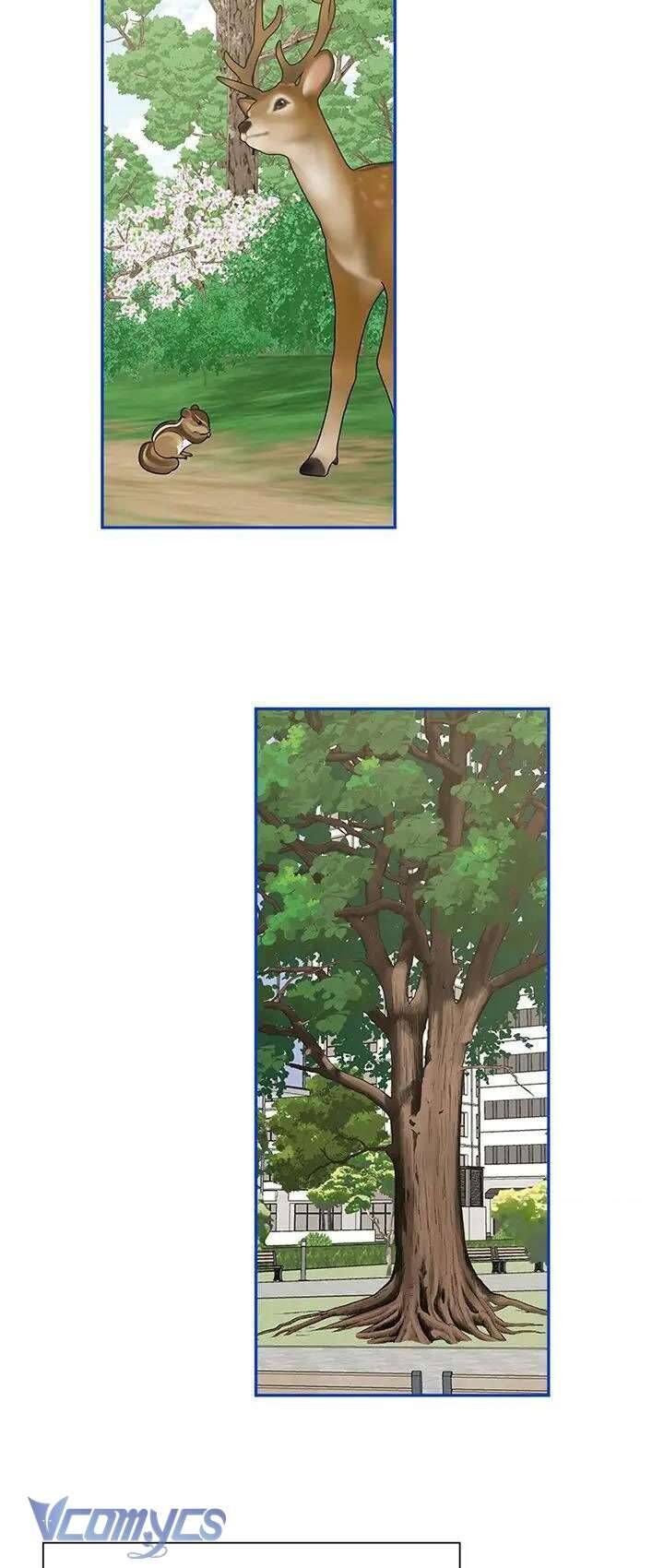 Điều Ước Sao Băng - Chapter 50 - Page 28