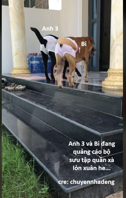 Hổ Đến Chơi Nhà - Chapter 142 - Page 80