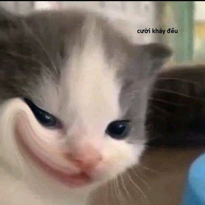 Hổ Đến Chơi Nhà - Chapter 143 - Page 74