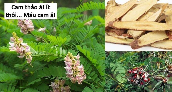 Hổ Đến Chơi Nhà - Chapter 143 - Page 79