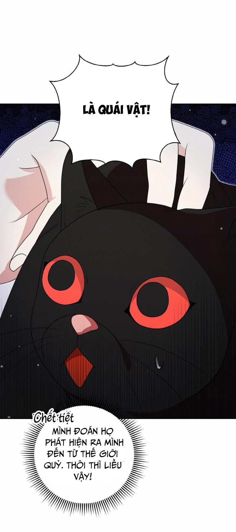 Đại Phản Diện Mà Nam Chính Phải Giết Là Tôi. - Chapter 16 - Page 13