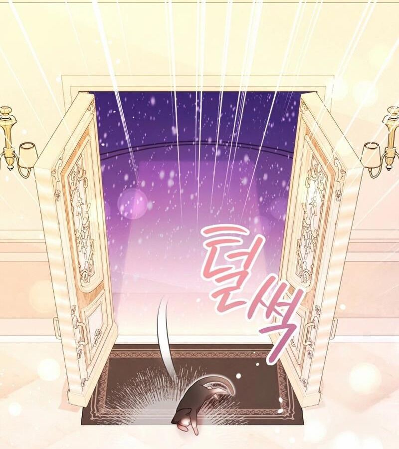 Đại Phản Diện Mà Nam Chính Phải Giết Là Tôi. - Chapter 16 - Page 64