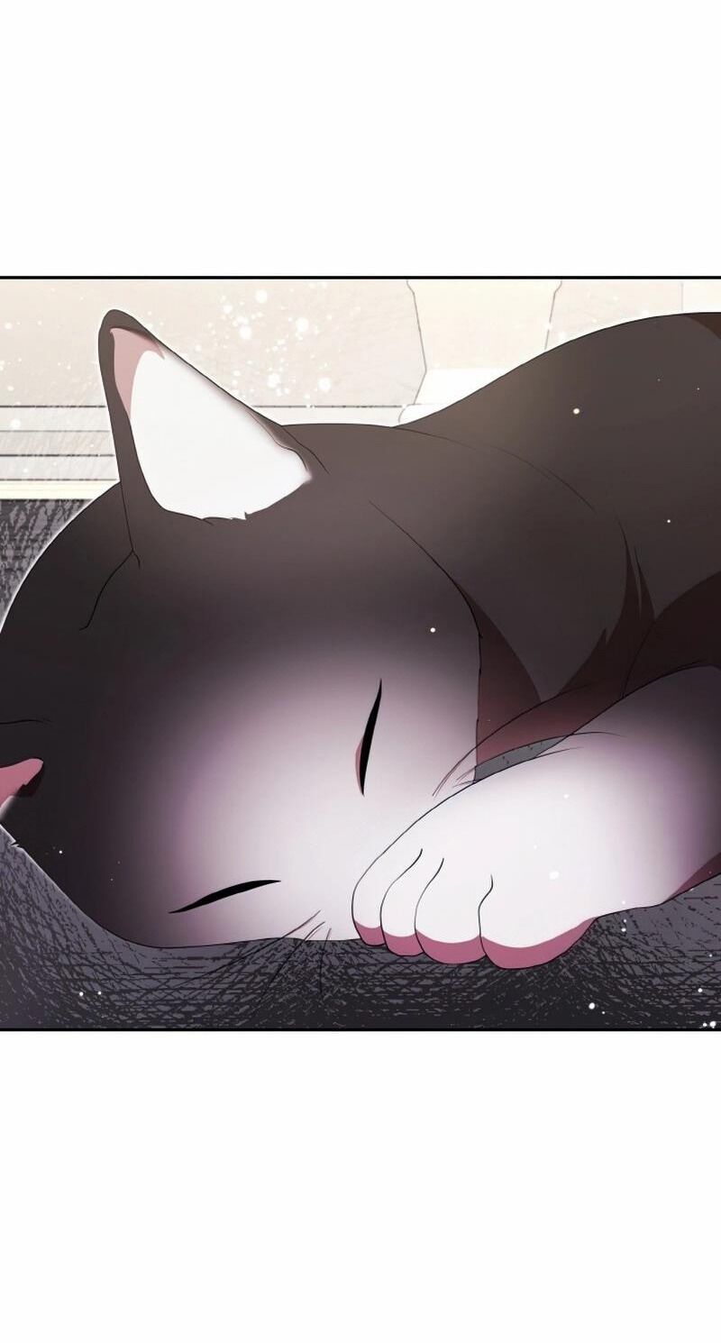 Đại Phản Diện Mà Nam Chính Phải Giết Là Tôi. - Chapter 16 - Page 66