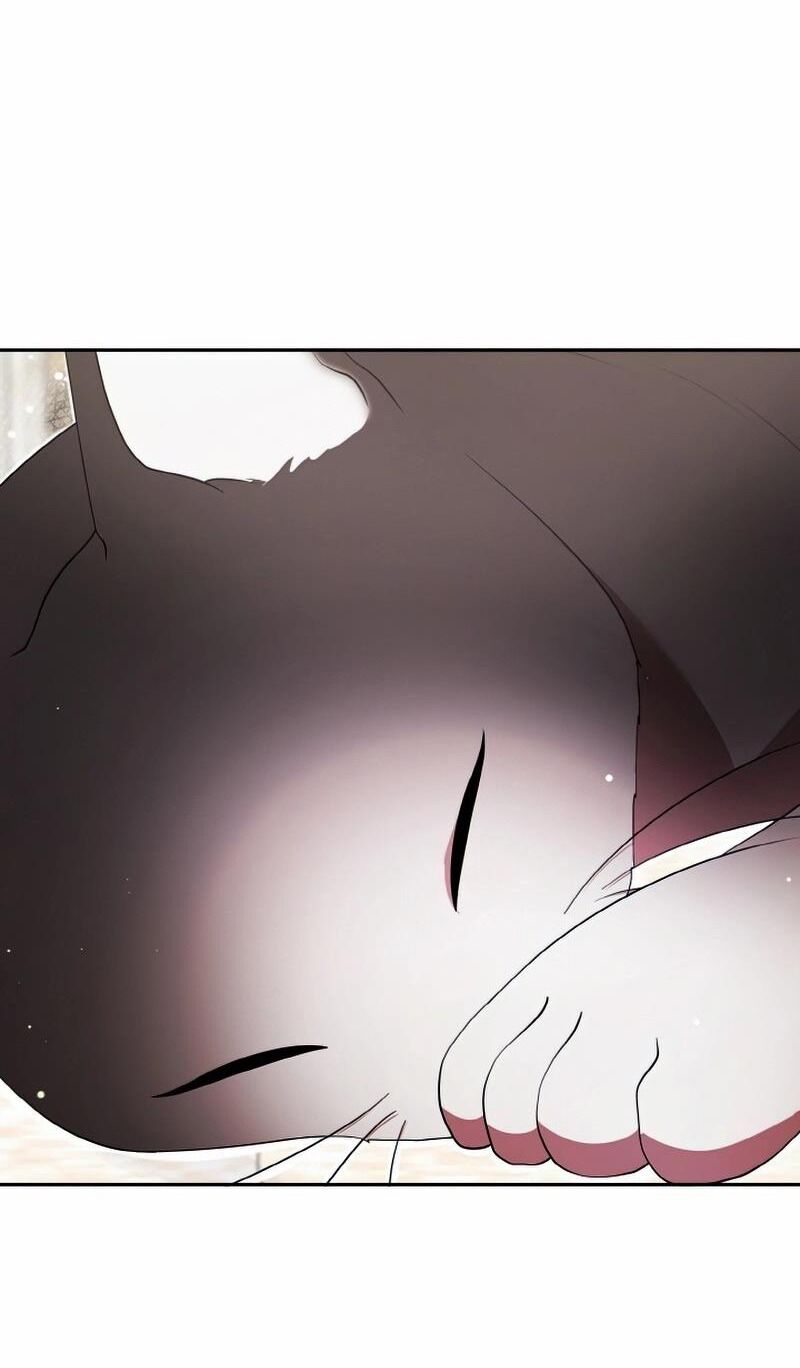 Đại Phản Diện Mà Nam Chính Phải Giết Là Tôi. - Chapter 16 - Page 67