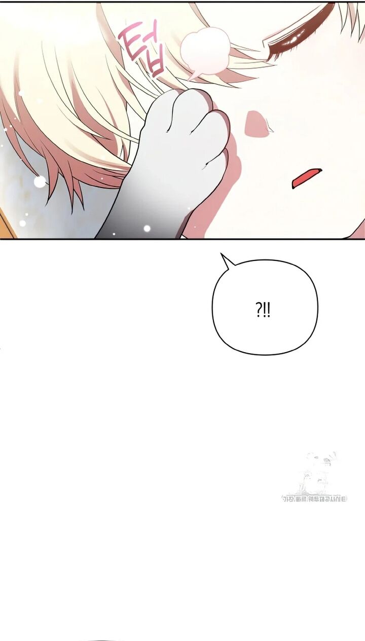 Đại Phản Diện Mà Nam Chính Phải Giết Là Tôi. - Chapter 17 - Page 5