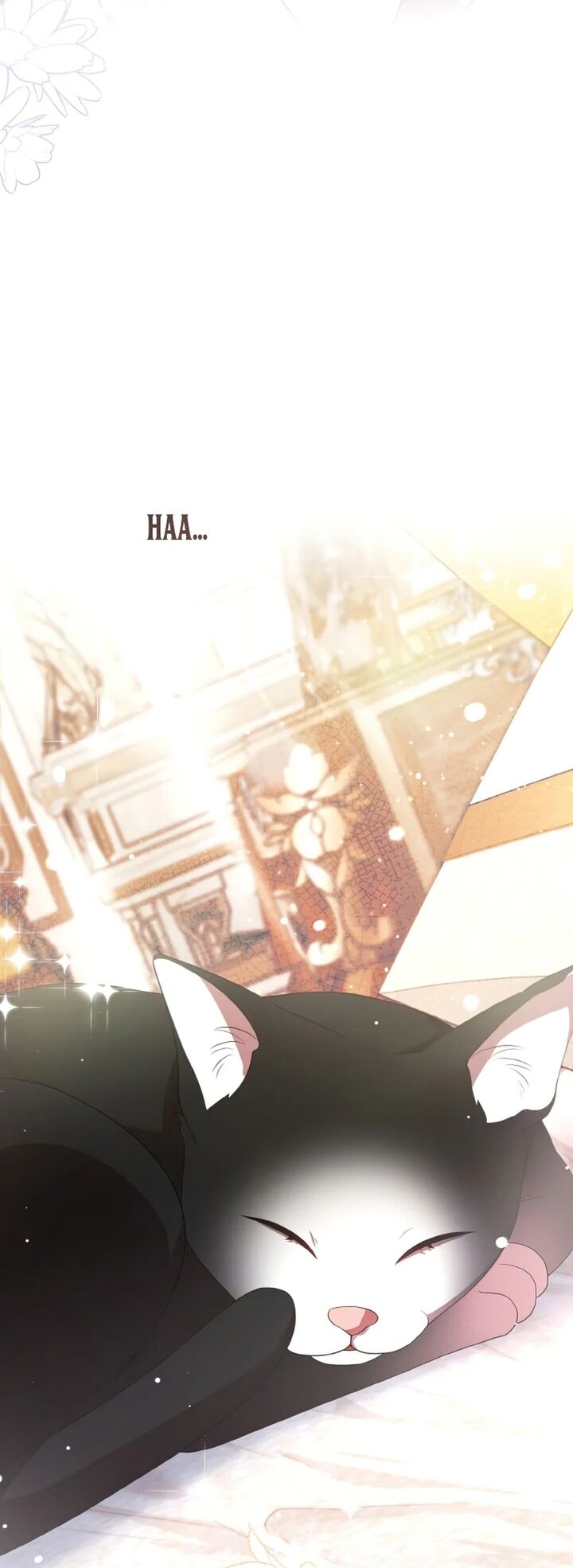 Đại Phản Diện Mà Nam Chính Phải Giết Là Tôi. - Chapter 17 - Page 9