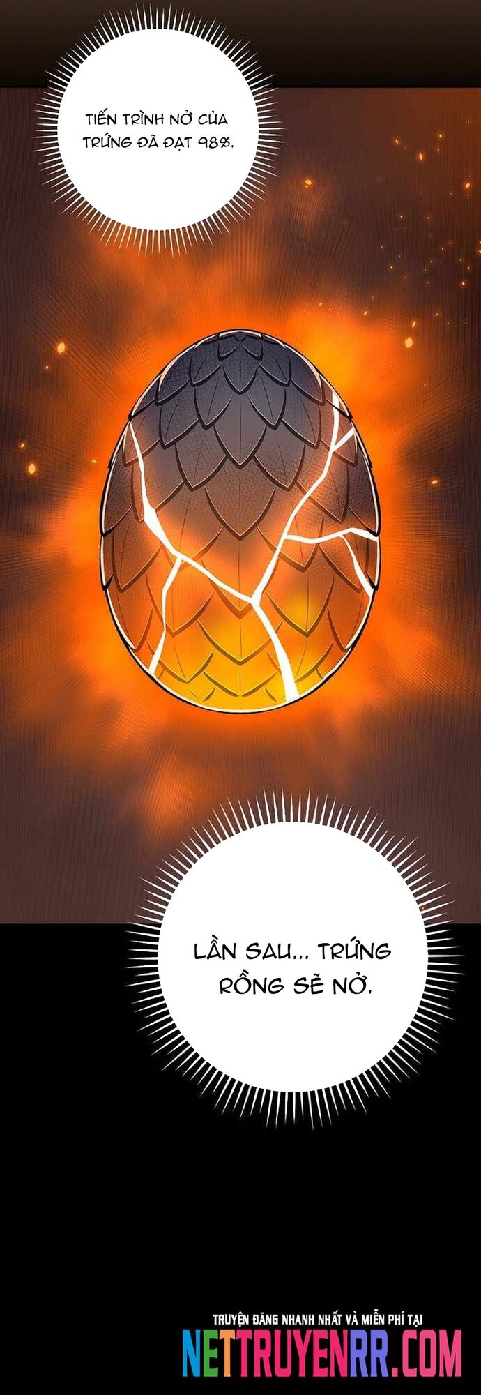 Streamer Pháp Sư - Chapter 142 - Page 50