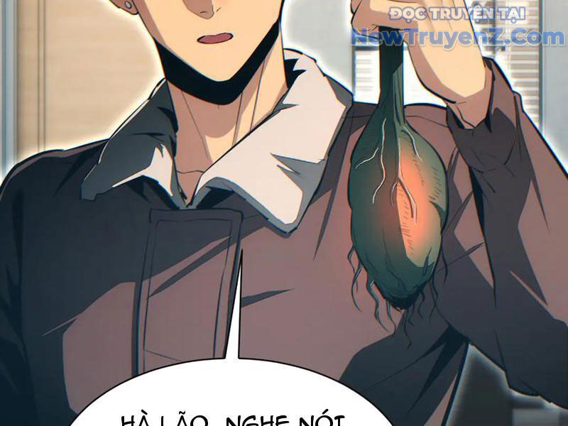 Mạt Thế Trọng Sinh: Ta Quay Gacha Làm Trùm! - Chapter 50 - Page 131