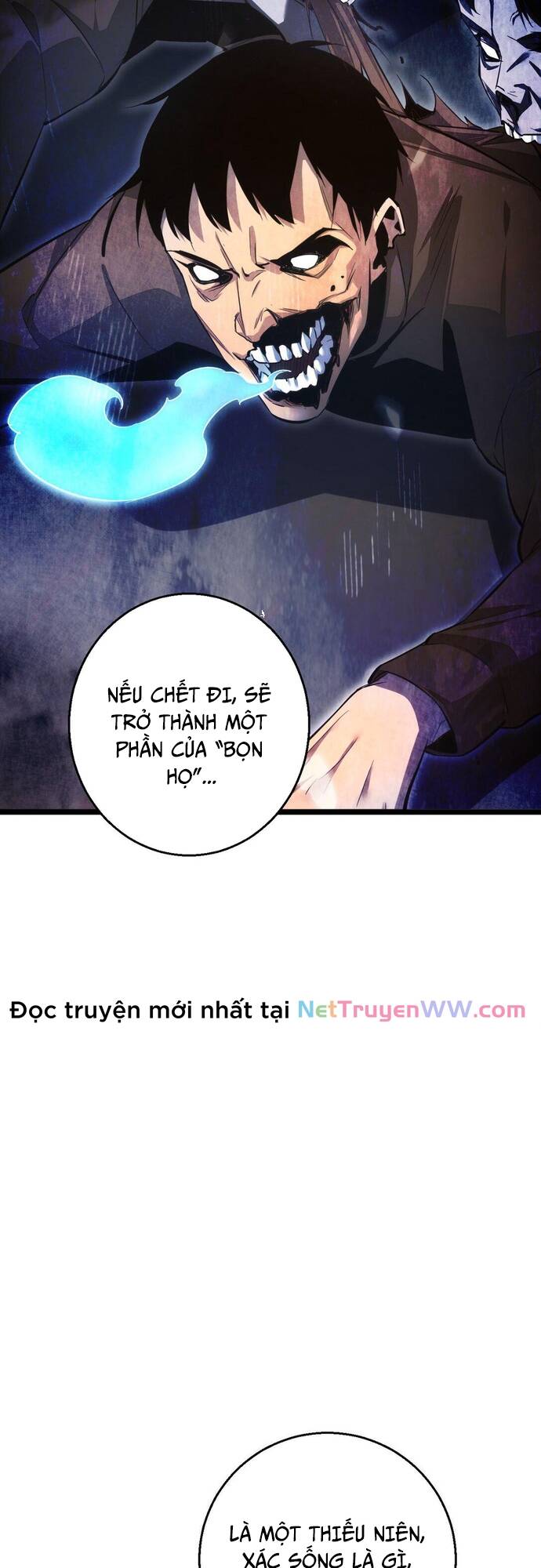 Mạt Thế Trọng Sinh: Ta Quay Gacha Làm Trùm! - Chapter 7 - Page 28