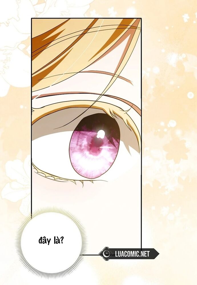 Tôi Chỉ Muốn Ngủ Riêng! - Chapter 17 - Page 28