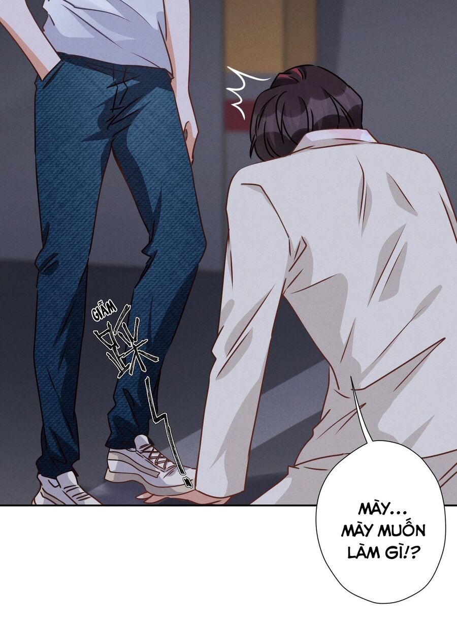 Long Vương Điện Người Ở Rể Giàu Nhất Chapter 29 - Trang 41