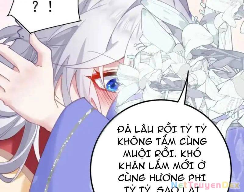 Phơi Bày Thân Phận Nữ Của Hoàng Đế - Chapter 23 - Page 7
