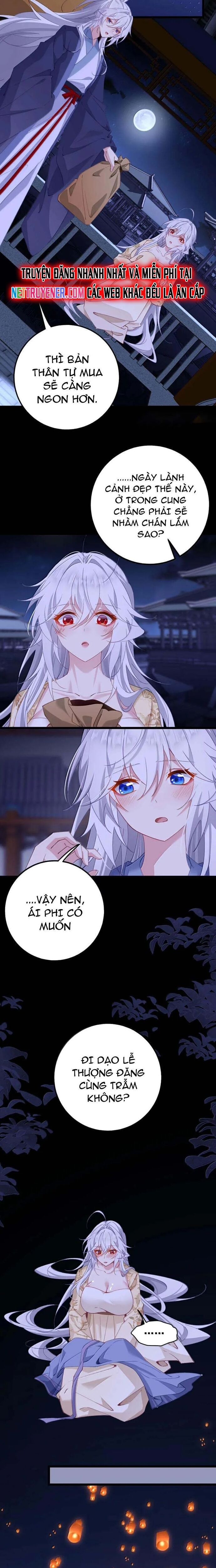 Phơi Bày Thân Phận Nữ Của Hoàng Đế - Chapter 44 - Page 3