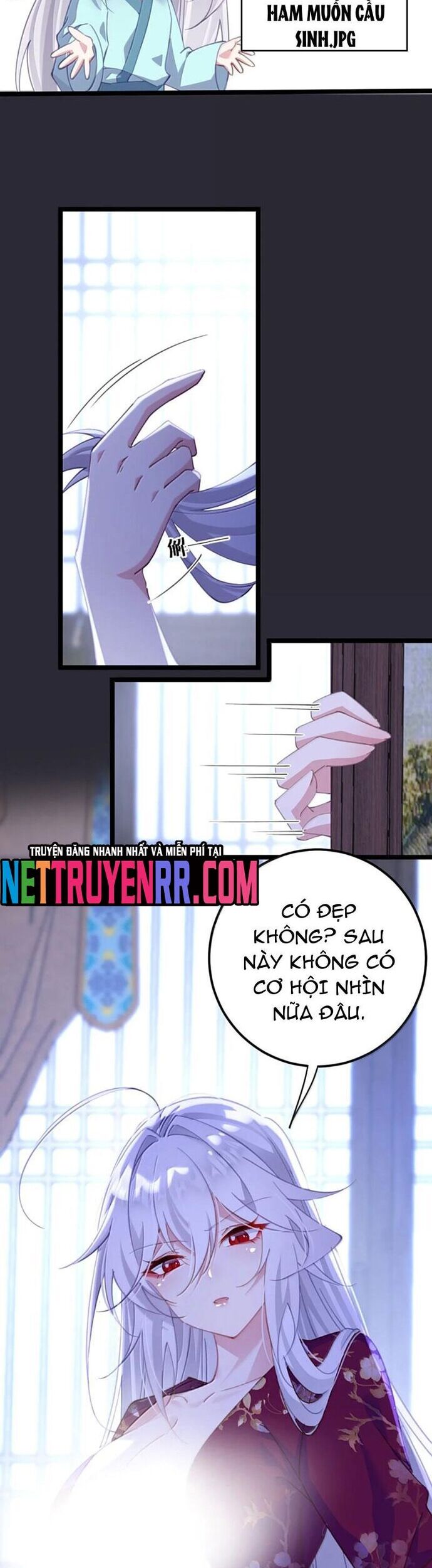 Phơi Bày Thân Phận Nữ Của Hoàng Đế - Chapter 46 - Page 7