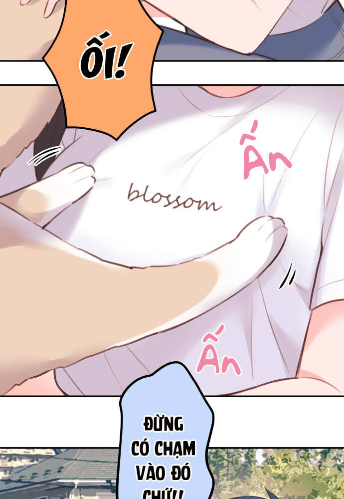 Cô Bạn Gái Hai Mặt - Chapter 67 - Page 20