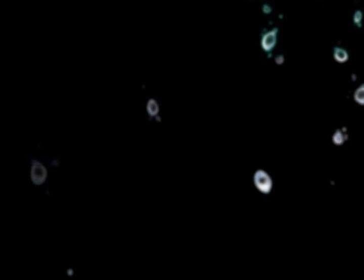 Trò Chơi Tình Ái - Chapter 2 - Page 15