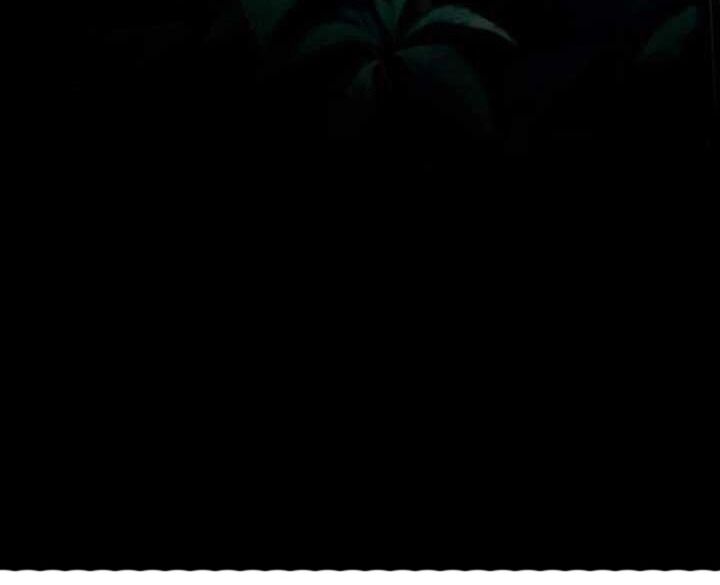 Trò Chơi Tình Ái - Chapter 2 - Page 58