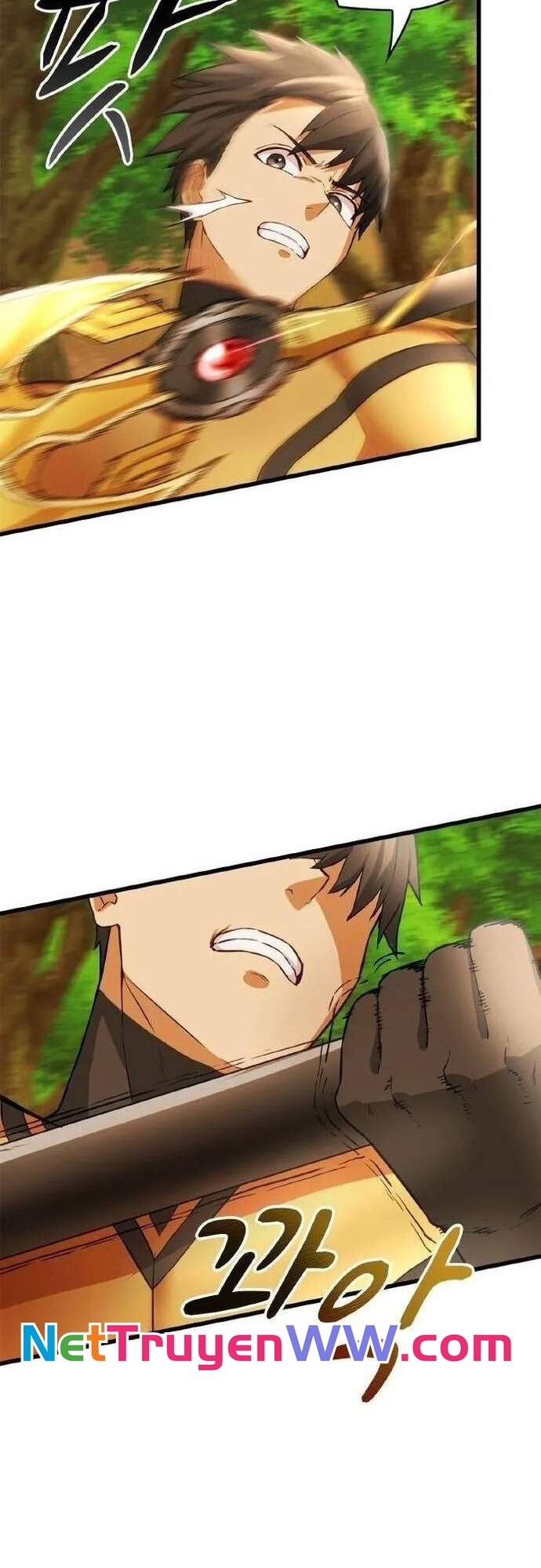 Siêu Thăng Cấp Anh Hùng - Chapter 11 - Page 29