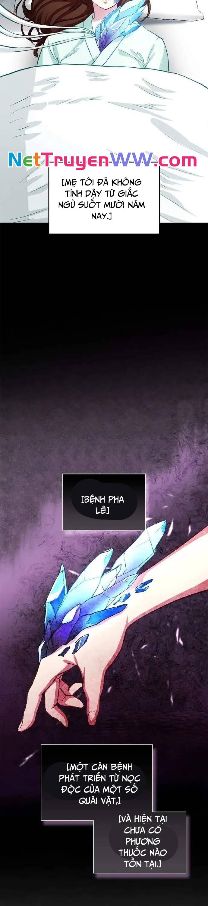 Siêu Thăng Cấp Anh Hùng - Chapter 3 - Page 17