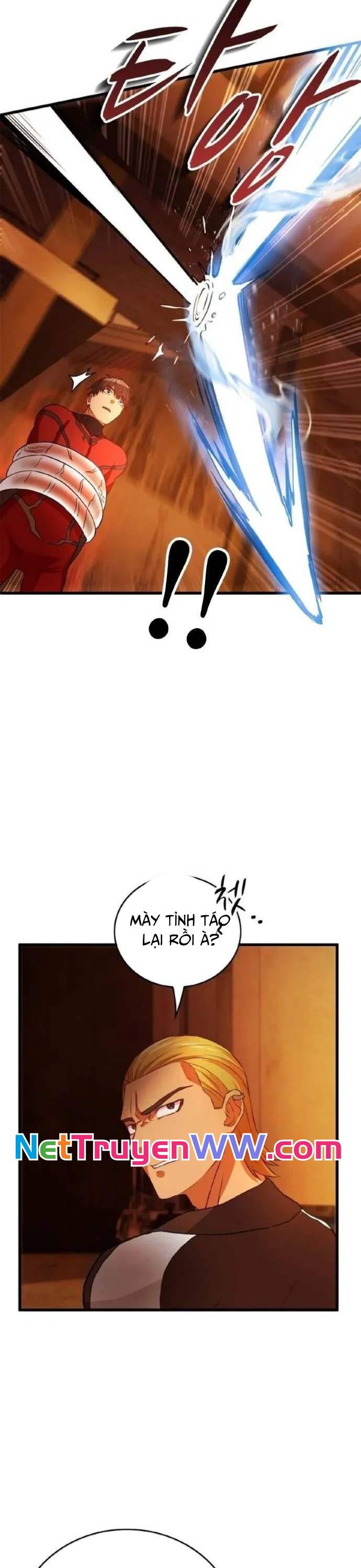 Siêu Thăng Cấp Anh Hùng - Chapter 8 - Page 13