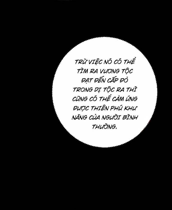 Học Cùng Em Gái, Không Cẩn Thận Trở Thành Vô Địch - Chapter 71 - Page 29