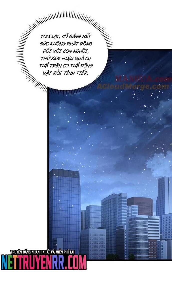 Học Cùng Em Gái, Không Cẩn Thận Trở Thành Vô Địch - Chapter 72 - Page 16