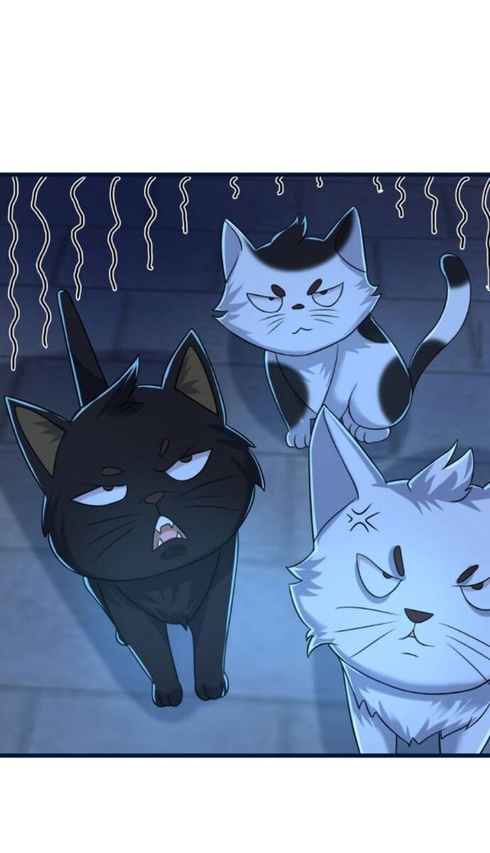 Học Cùng Em Gái, Không Cẩn Thận Trở Thành Vô Địch - Chapter 73 - Page 17