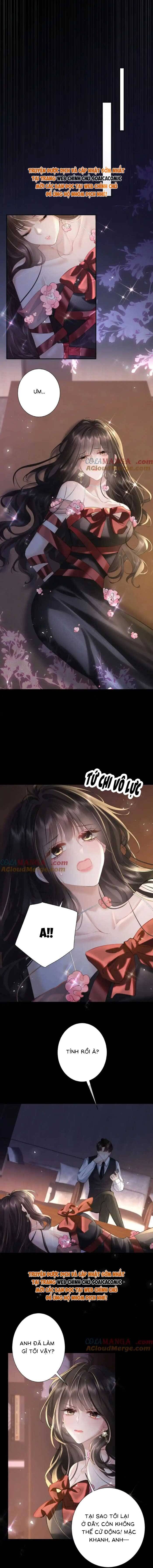 Tổng Tài Cố Chấp, Xin Hãy Buông Tha - Chapter 12 - Page 3