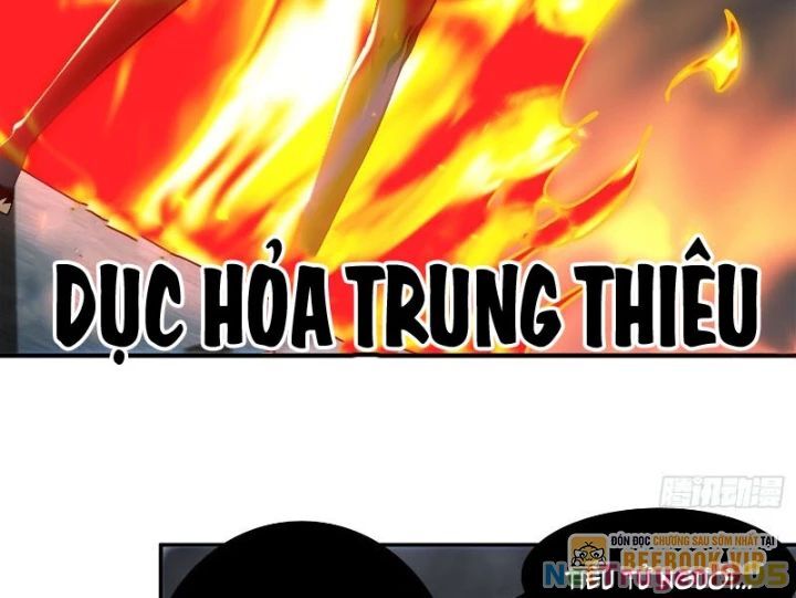 Tuyệt Sắc Đạo Lữ Đều Nói Ngô Hoàng Thể Chất Vô Địch - Chapter 393 - Page 13