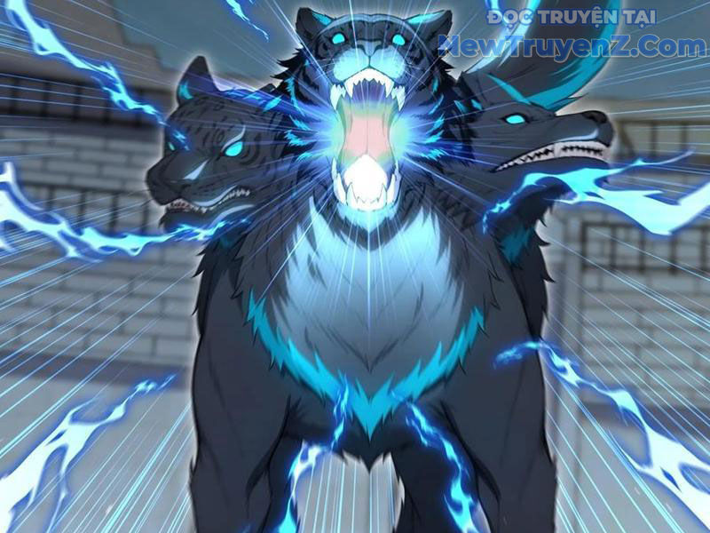 Đệ Nhất Ngự Thú Sư - Chapter 62 - Page 49