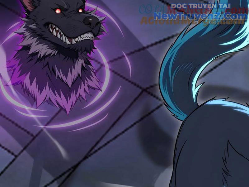 Đệ Nhất Ngự Thú Sư - Chapter 62 - Page 62