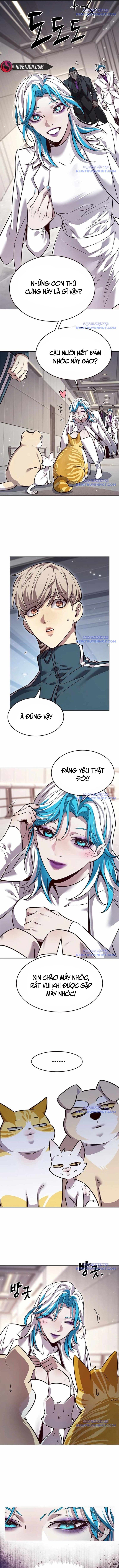 Hoá Thân Thành Mèo - Chapter 343 - Page 3
