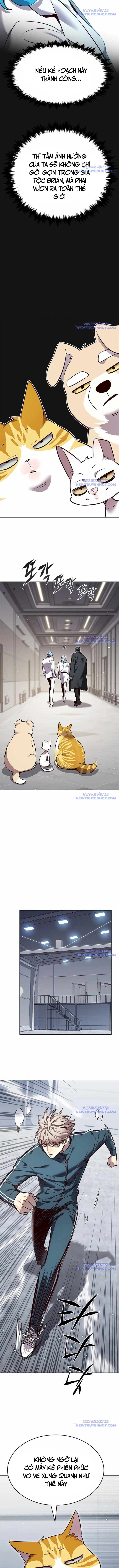 Hoá Thân Thành Mèo - Chapter 343 - Page 8