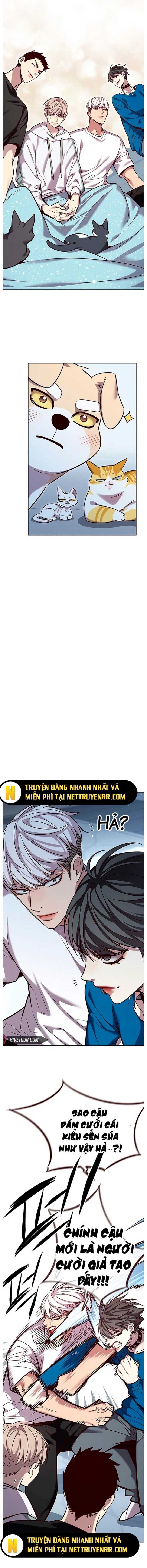 Hoá Thân Thành Mèo - Chapter 345 - Page 18