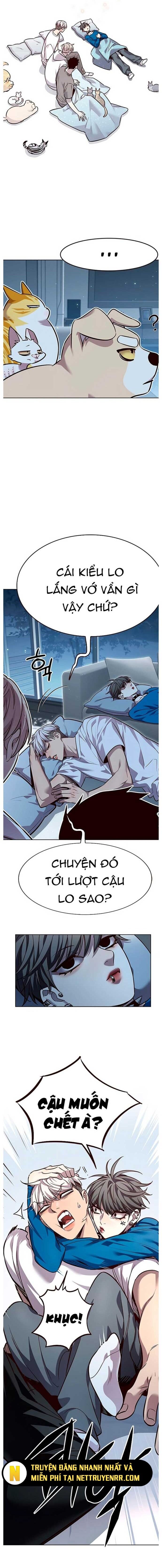 Hoá Thân Thành Mèo - Chapter 345 - Page 8