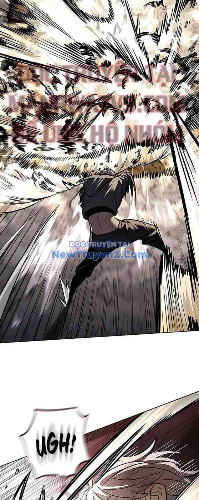 Hoá Thân Thành Mèo - Chapter 352 - Page 13