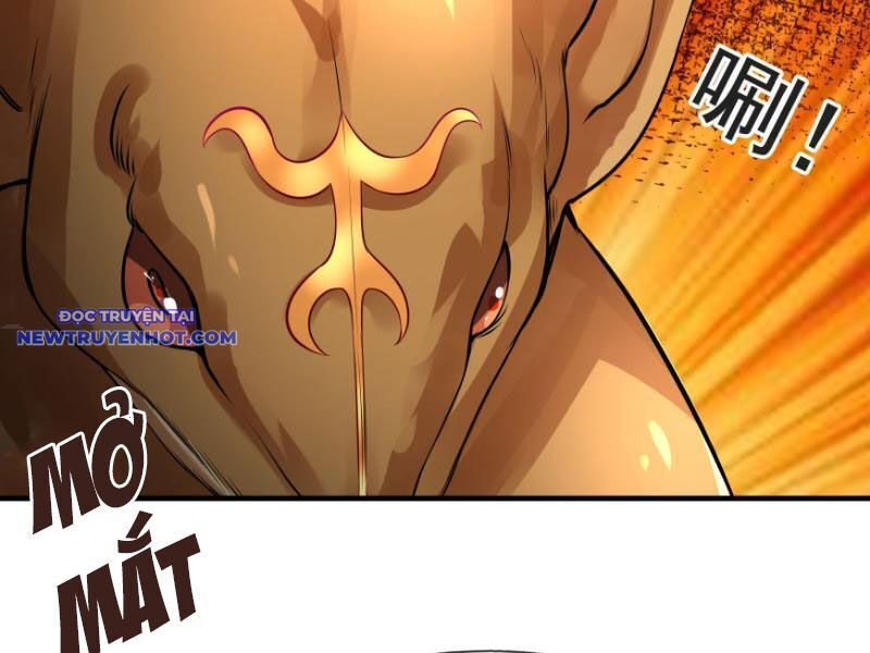 Ngủ Say Vạn Cổ: Xuất Thế Quét Ngang Chư Thiên - Chapter 11 - Page 179