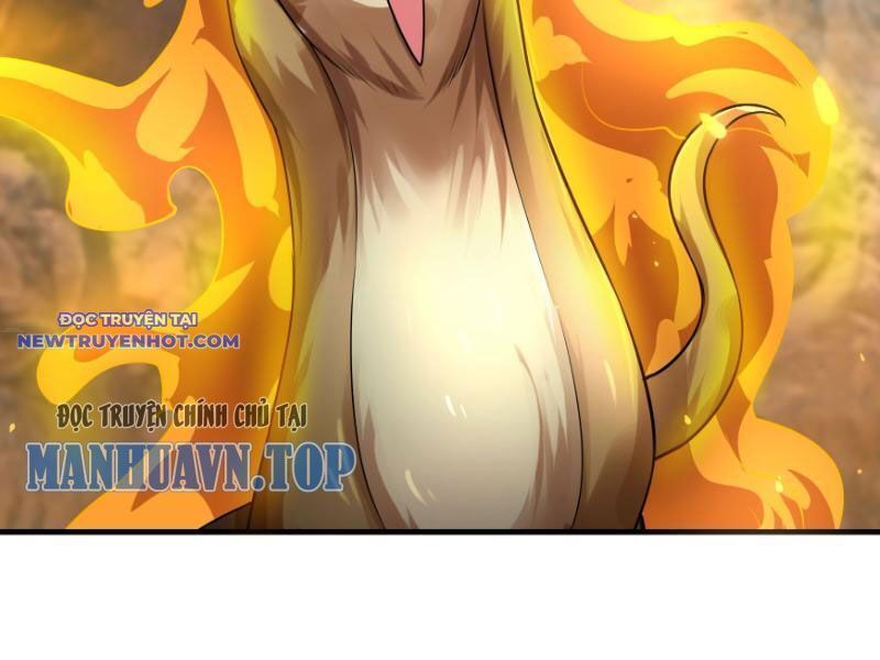 Ngủ Say Vạn Cổ: Xuất Thế Quét Ngang Chư Thiên - Chapter 11 - Page 181