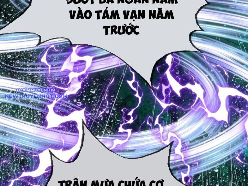 Ngủ Say Vạn Cổ: Xuất Thế Quét Ngang Chư Thiên - Chapter 5 - Page 31