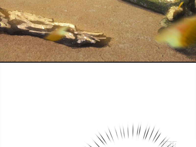 Thu Triệu Vạn Đồ Đệ, Vi Sư Vô Địch Thế Gian - Chapter 28 - Page 54